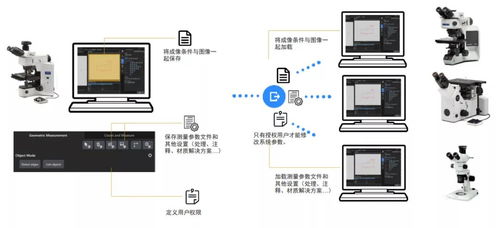智能模塊驅(qū)動高效可靠 奧林巴斯顯微鏡圖像處理軟件Preciv AI升級引領(lǐng)精準(zhǔn)新高度